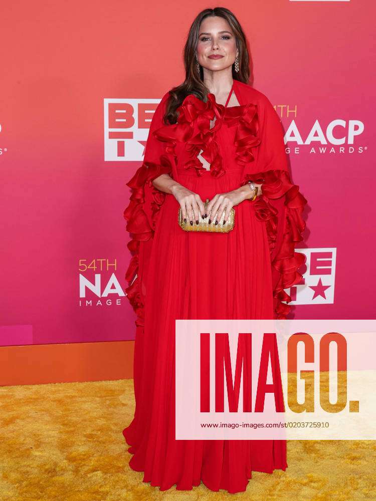54th Annual NAACP Image Awards - Arrivals Sophia Bush carrying Tyler ...
