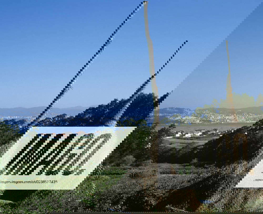 Traditional straw drying system. The Vigo estuary. Cangas de Morrazo