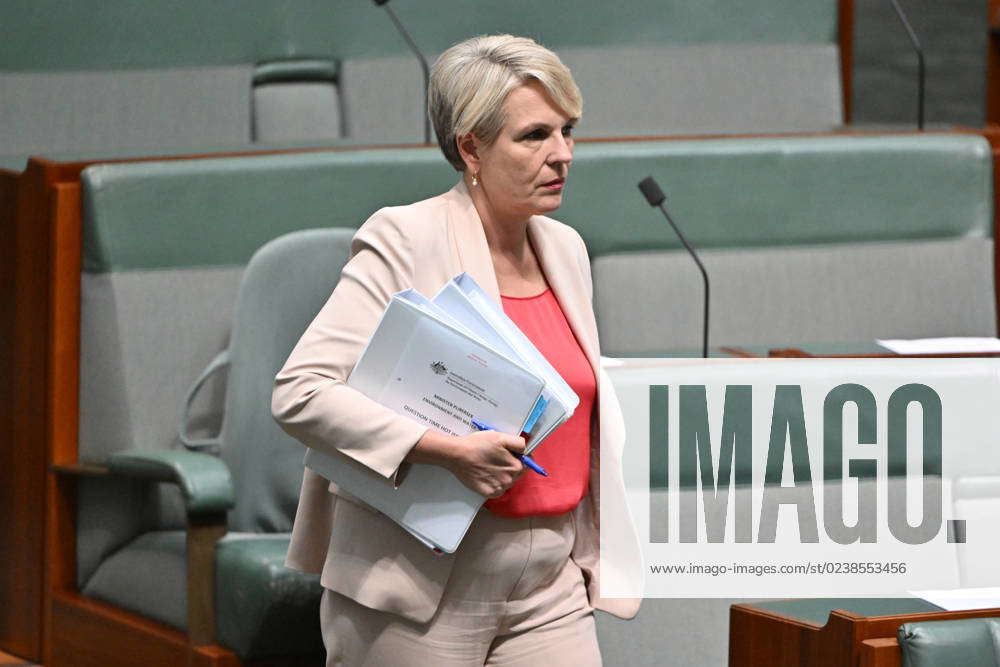 Question Time Minister For Environment Tanya Plibersek Arrives For