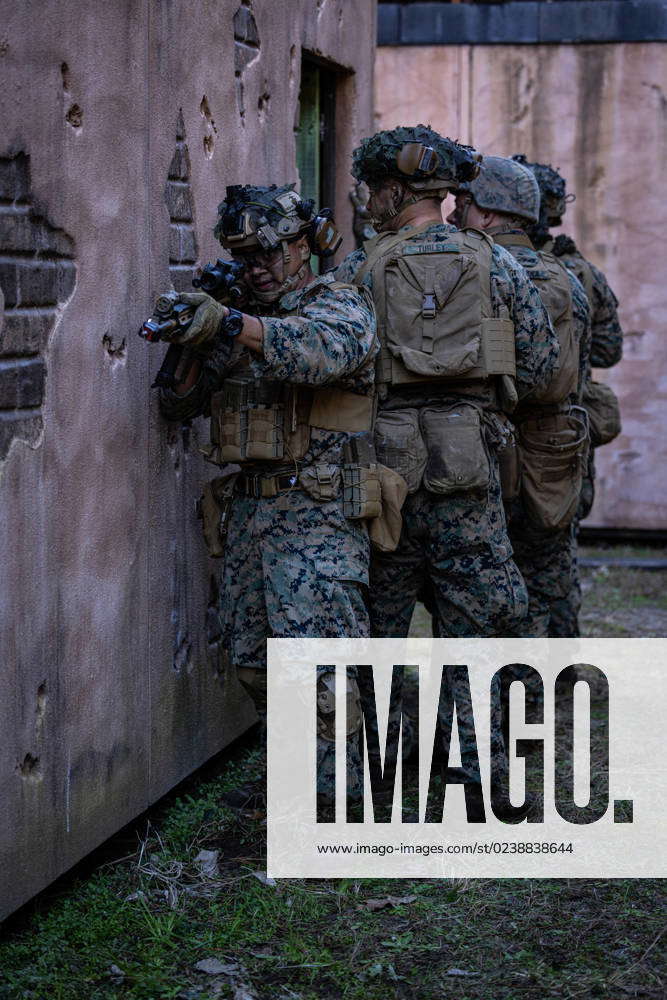 U.S. Marines with 2d Battalion, 2d Marine Regiment, 2d Marine Division ...