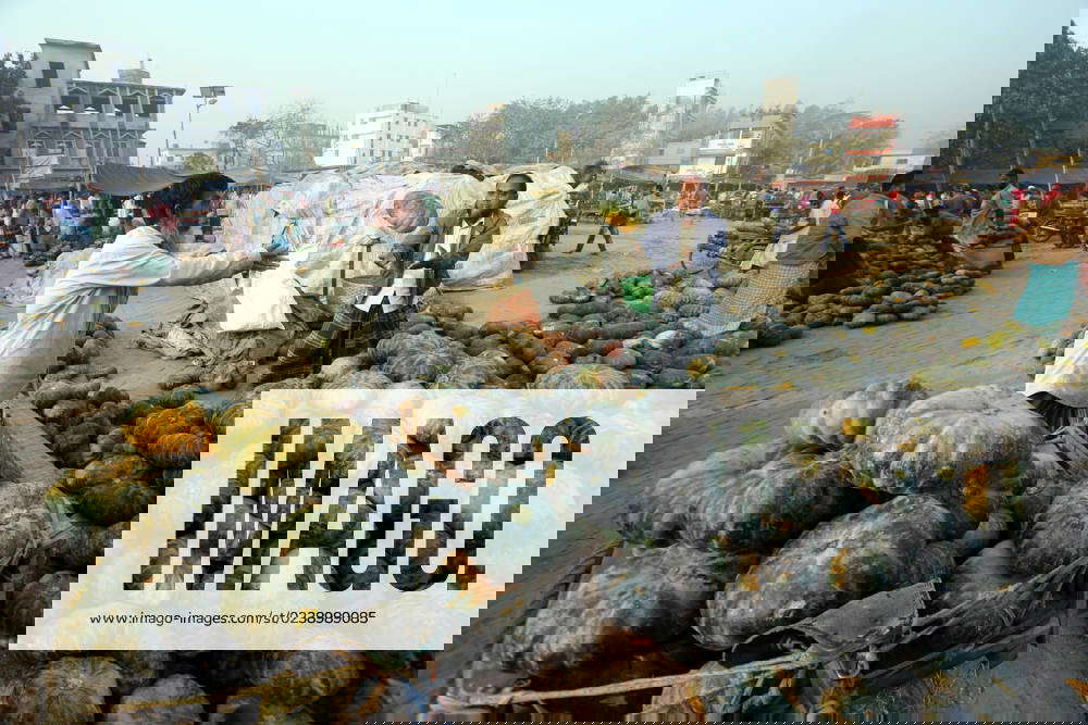 March 10, 2023, Bogura, Bogra District, Bangladesh Farmers bring