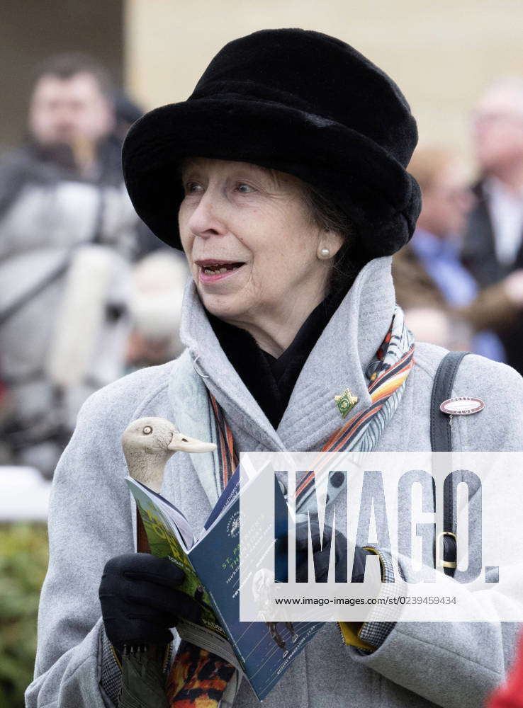 . 16 03 2023. Cheltenham , United Kingdom. Princess Anne on day three ...