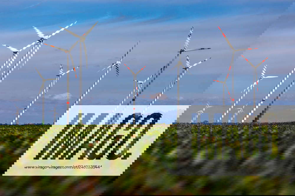 Wind energy in Brandenburg DEU Germany Brandenburg Dollenchen, 22 03 ...