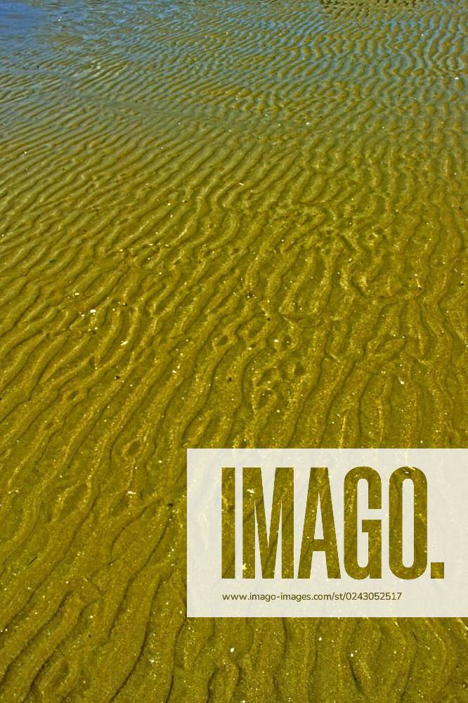 Stcastleguildo,low tide,brittany