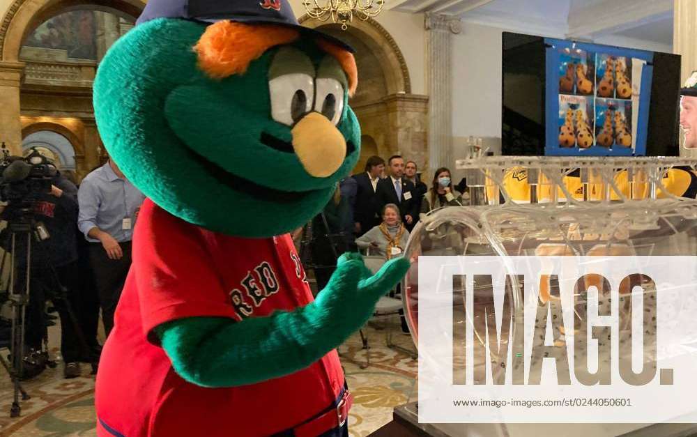 Syndication: Worcester Telegram Red Sox mascot, Wally the Green