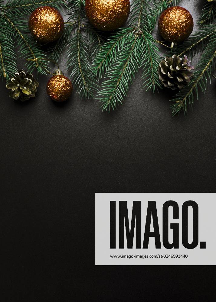 Christmas Composition Greens Tannenbaum Branches with Golden Balls