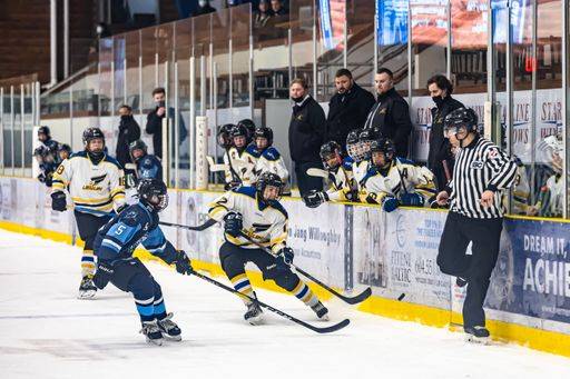 The Langley Minor Hockey Association s hockey game in George-Preston ...