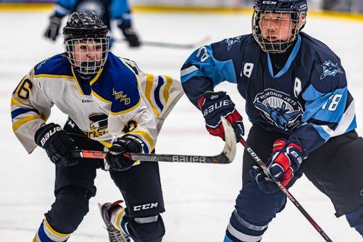 The Langley Minor Hockey Association s hockey game in George-Preston ...