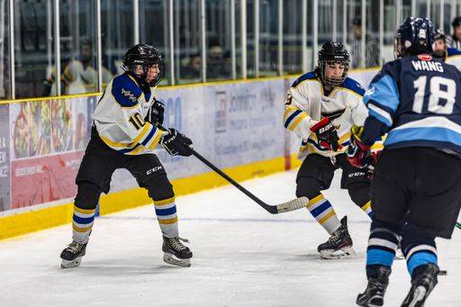 The Langley Minor Hockey Association s hockey game in George-Preston ...