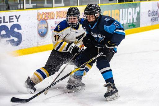 The Langley Minor Hockey Association s hockey game in George-Preston ...