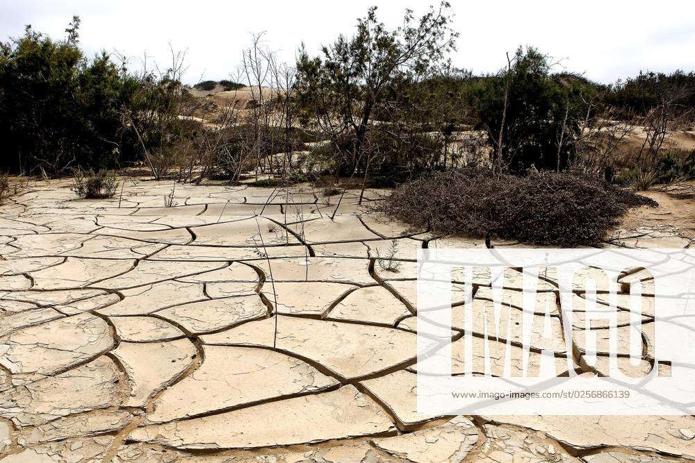 Drought in the Desert at Walvis Bay, Namibia, Africa