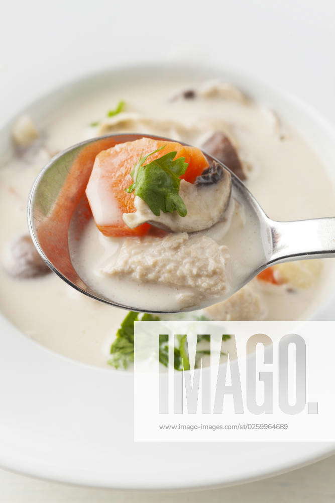 Thailändische Tom Kha Gai Suppe thailändische Tom Kha Gai Suppe