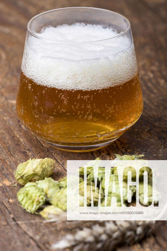 Indisches Pale Ale mit Hopfen auf Holz indian pale ale with hops on wood