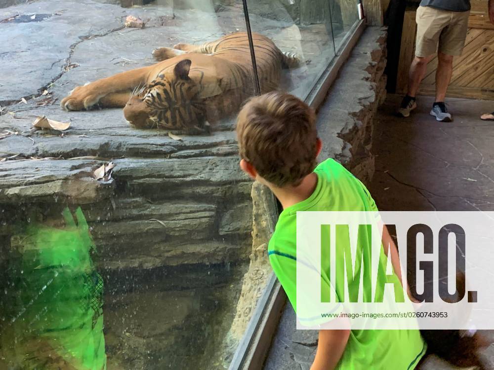 Syndication Savannah Morning News Spencer Burkhart gets a close view