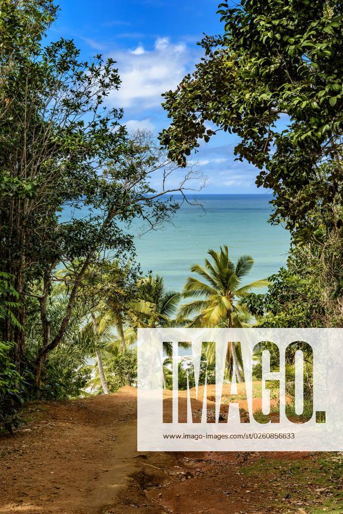 Arrival route in Prainha, a small Beach in the middle of from preserved ...