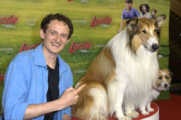 The movie dogs Pippa and Lassie v l at the premiere of the movie