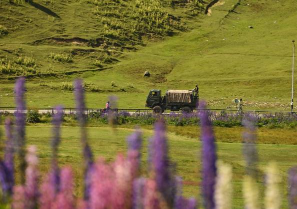 Lupinus flower attract tourists at famous ski resort Gulmarg in Kashmir ...