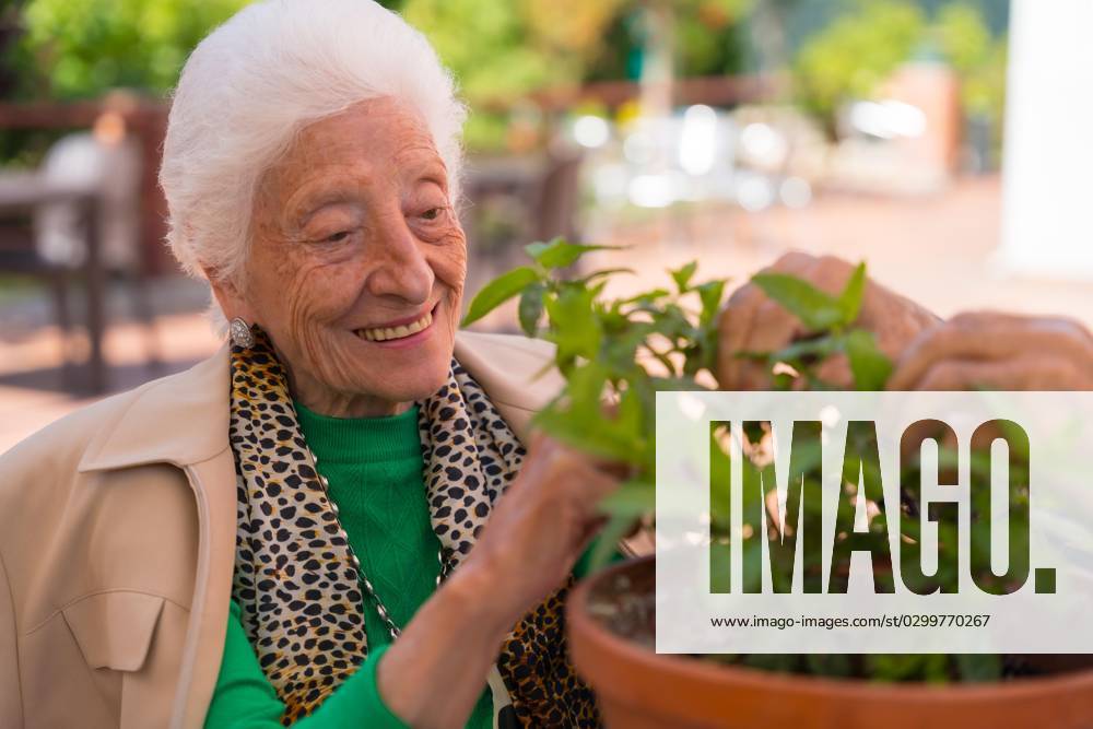 a older Woman, the itself at the Flowers at Garden one Nursing home Or