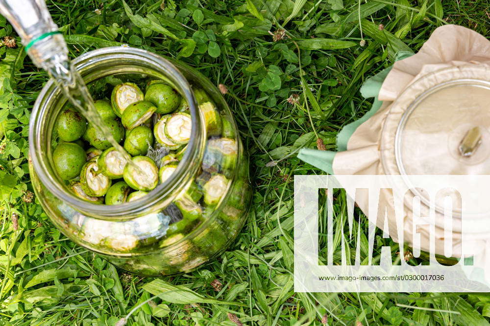 Home-made Fruit Alcohol In Poland A man cuts young walnut fruits to ...