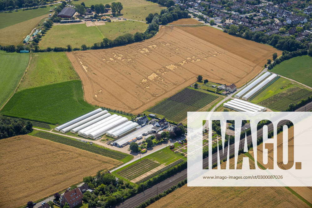 Aerial view, agricultural farm Rosen Ruland, with meadows and fields ...