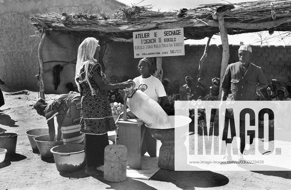 Mali, Kokolo, 11 02 1993 archive 39 25 15 Dogon land photo an onion ...