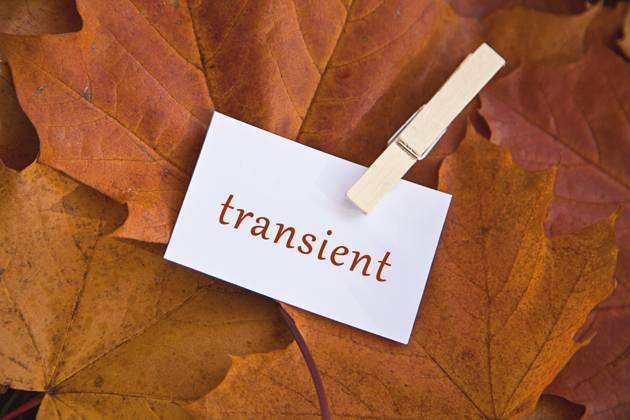 Transient Lettering Herbstblaetter with bracketed Zettel with the Inscription transient ...