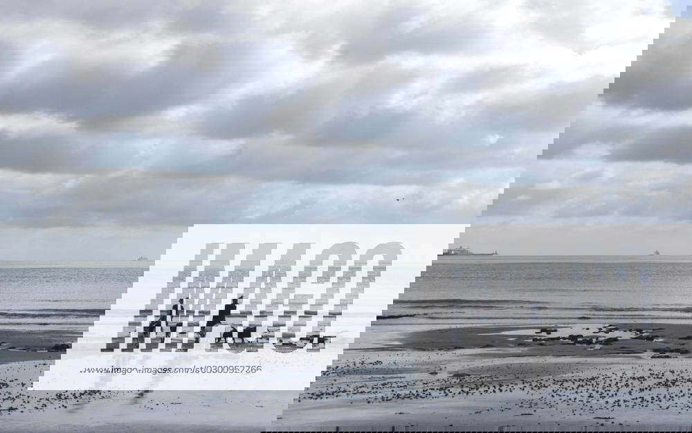 03 08 2023. Folkestone, United Kingdom. Dog walkers take advantage of