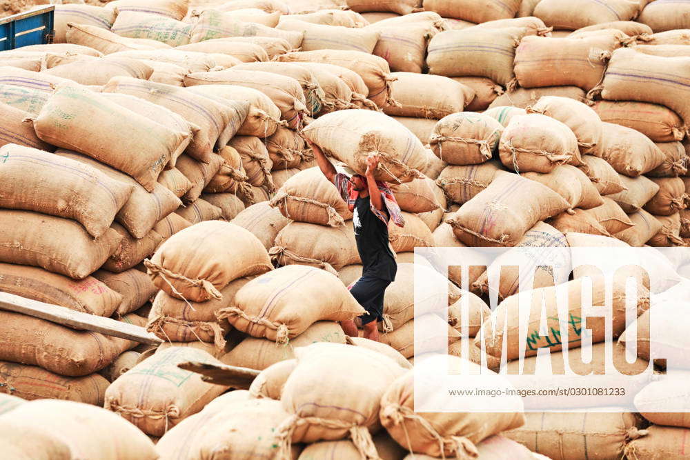 Rice Trade in Bangladesh Workers are unloading Rice from boats. Workers ...