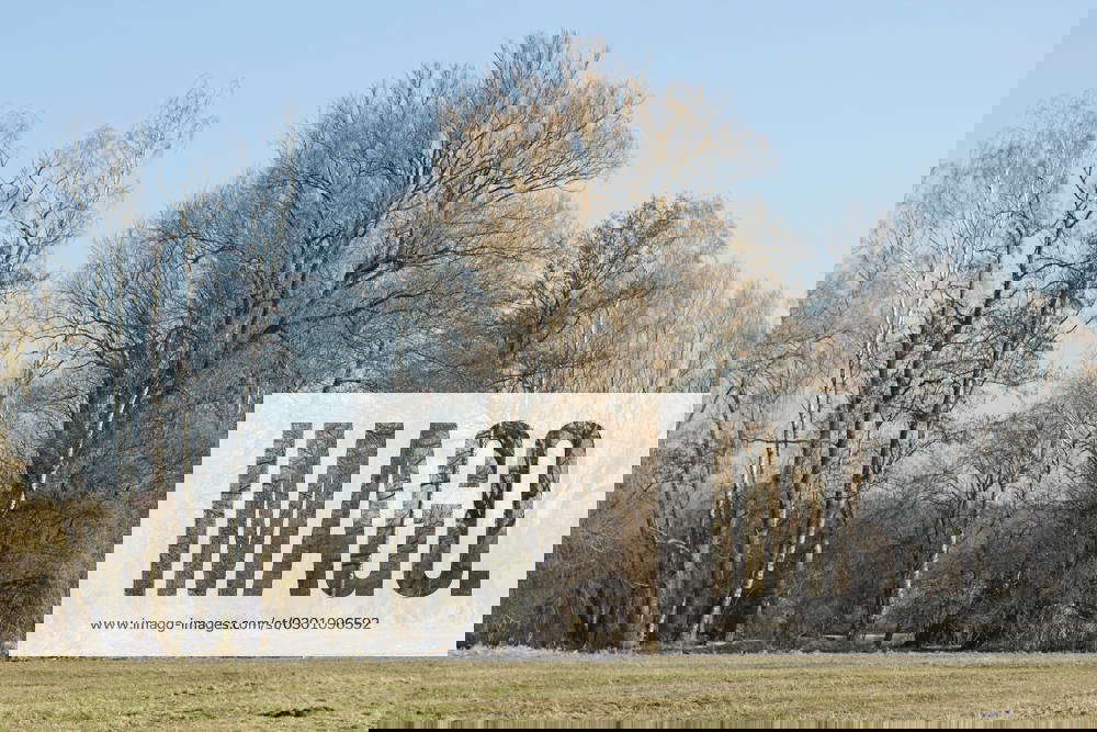 Auenlandschaft am Tegeler Fliess Das Tegeler Fließ ist eines der