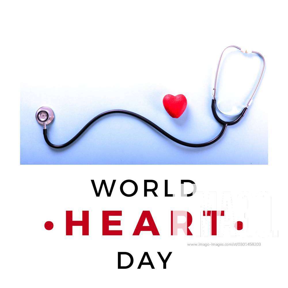 Cool World Heart Day Text Logo Image, World Heart Day, World Heart Day  Poster, World Heart Day Illustration PNG and Vector with Transparent  Background for Free Download