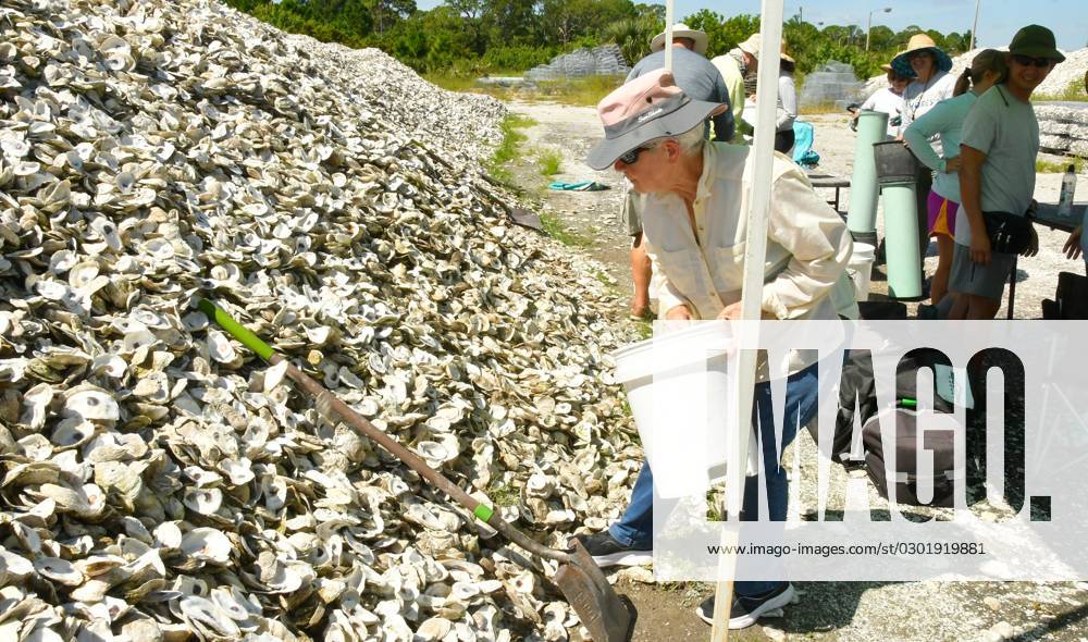 Syndication Florida Today Brevard Zoo Restore Our Shores Making Mesh