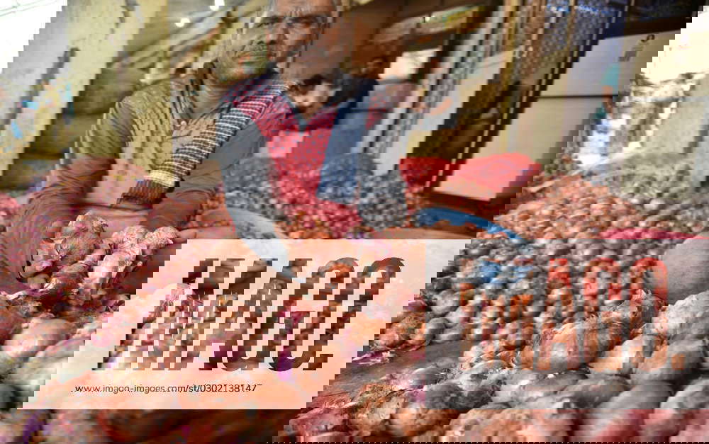 NAVI MUMBAI, INDIA AUGUST 22 A view of Onion seller at APMC Market