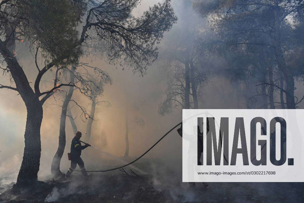 Wildfire continues to destroy forest in Parnitha near Athens ...