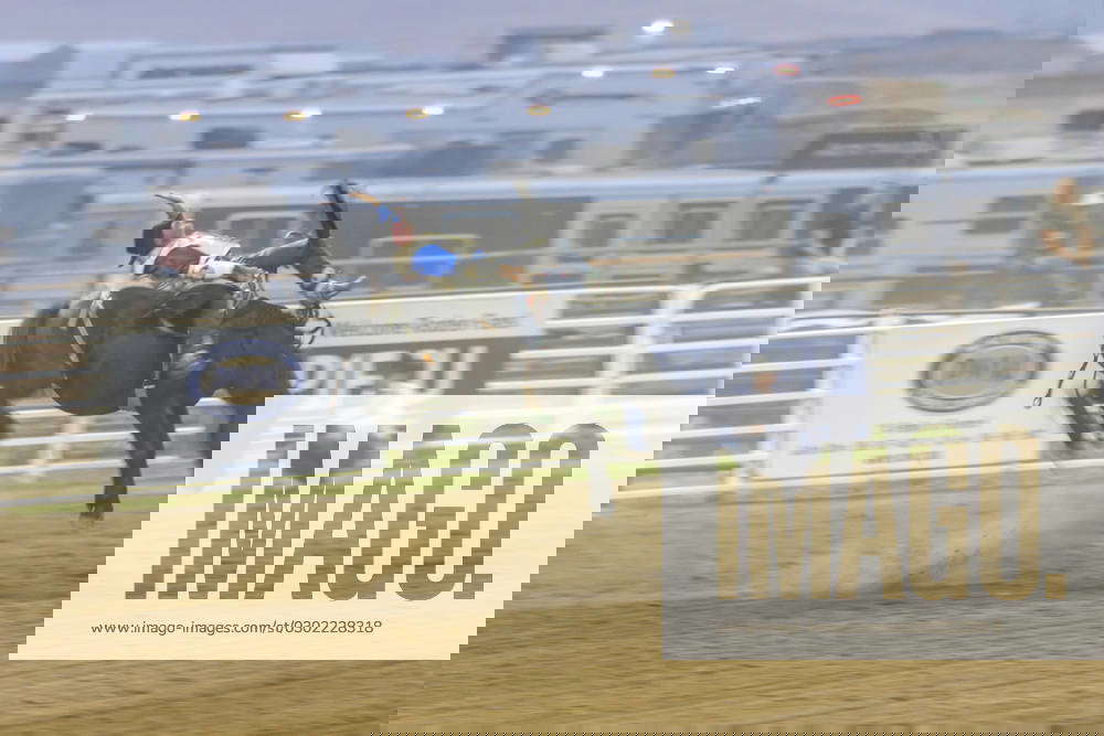 USA, Washington State, Whitman County, Palouse. Palouse Empire State