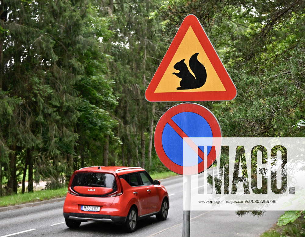 STOCKHOLM 20230825 The famous squirrel warning sign on Vattravägen in ...
