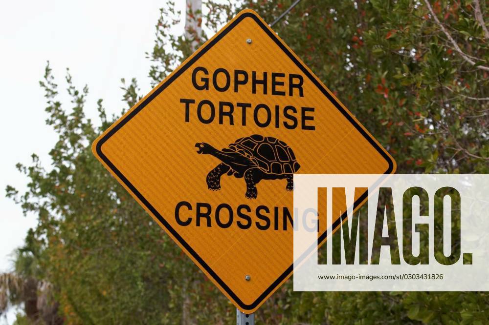 Warning sign turtles cross, Warning sign turtles cross