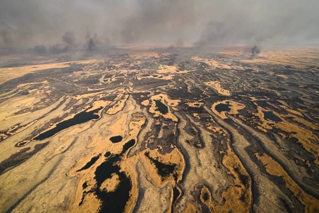 Tundra fire. Burning dry grass and peat bogs, fire and smoke in tundra ...