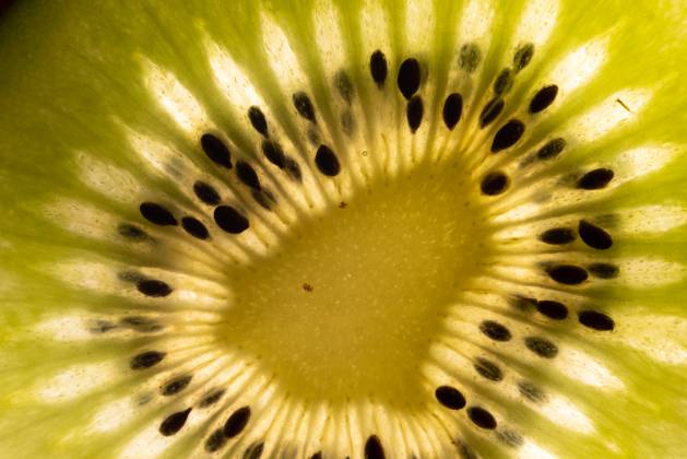 Micro close up of sliced kiwi fruit and copy space on black background ...