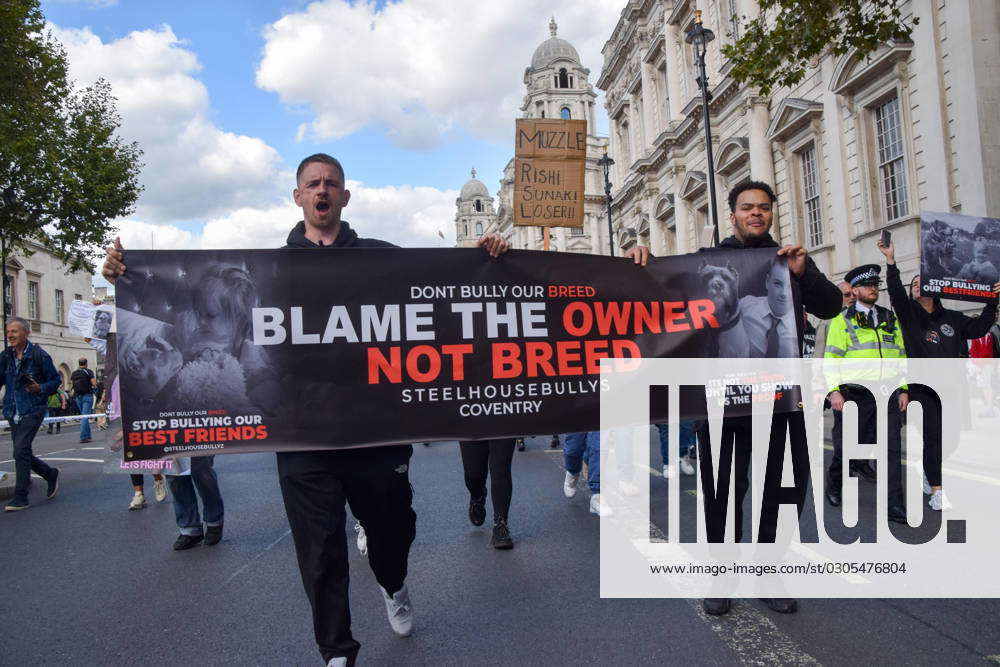 Protest against the American Bully XL ban in London, UK - 23 Sept 2023 ...