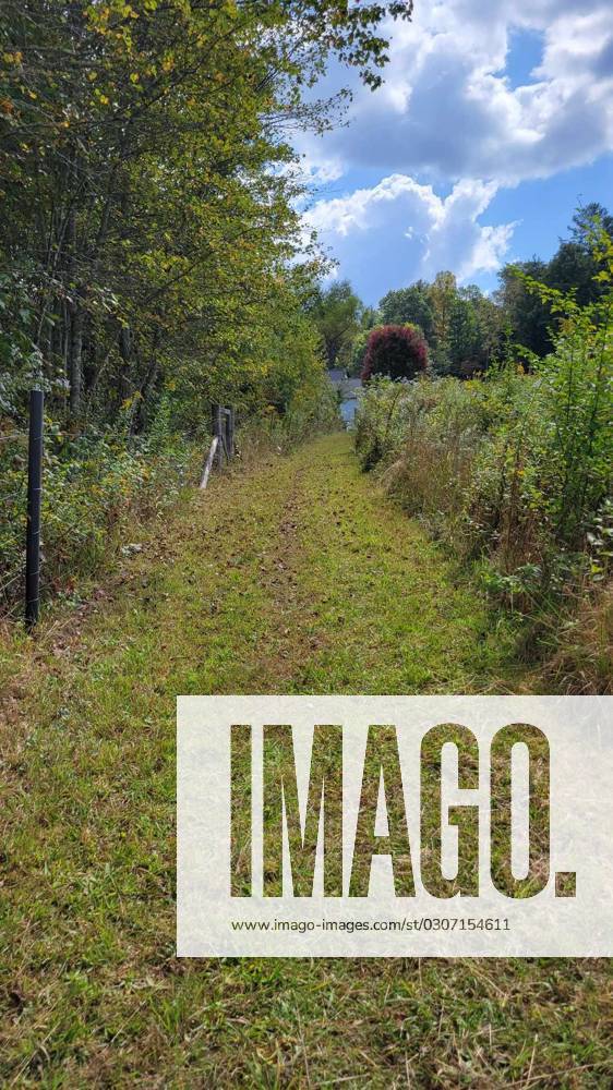 Syndication Sideways Brewery in Etowah is set for its