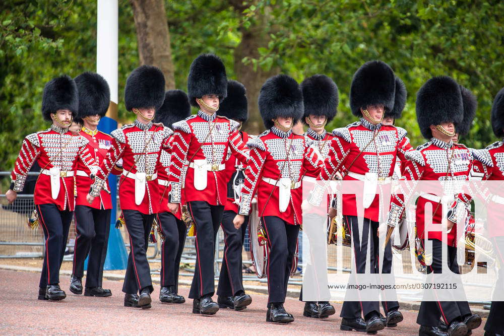 Grenadier Guards after being relieved from their sentry postings at ...