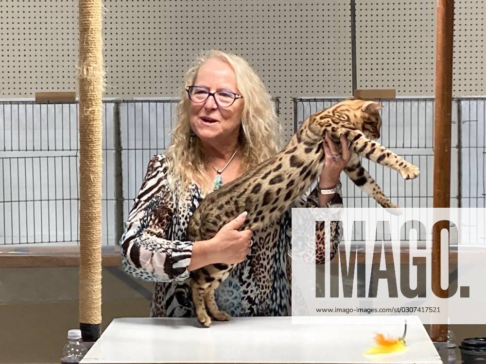 syndication-york-daily-record-rachel-anger-judges-during-the-cat