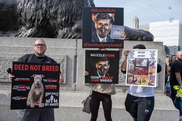 Save our XL Bullies in London, UK - 07 Oct 2023 Protesters hold ...
