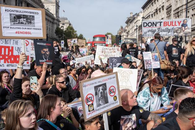 Save our XL Bullies in London, UK - 07 Oct 2023 Protesters hold ...