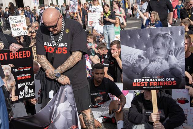 Save our XL Bullies in London, UK - 07 Oct 2023 Protesters hold ...