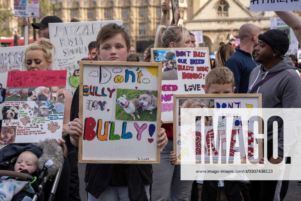 Save Our XL Bullies In London UK 07 Oct 2023 Protesters Hold   M 