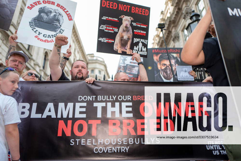 October 8, 2023, London, United Kingdom: Hundreds Of Demonstrators Have ...