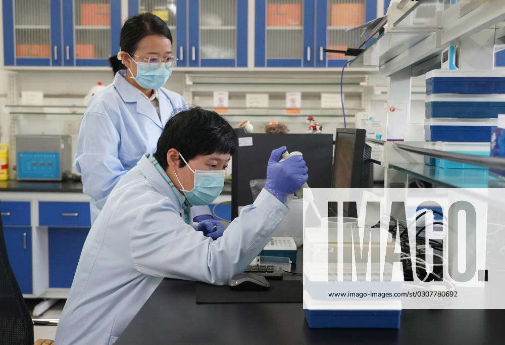 231010) -- BEIJING, Oct. 10, 2023 -- Technicians work in a lab at