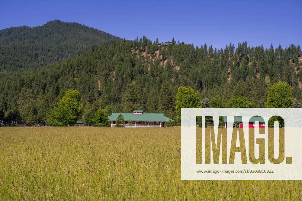 A field of grass and buildings in the Plain Valley near Leavenworth in ...