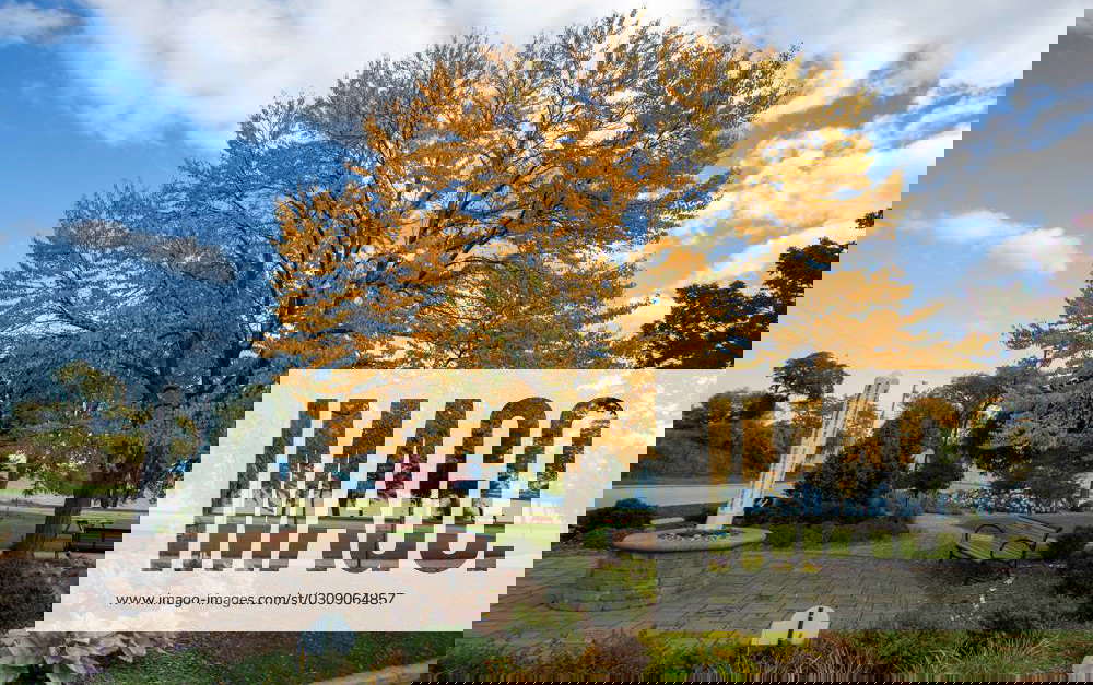 Syndication Sheboygan Press Peace Park in Sheboygan features a tree